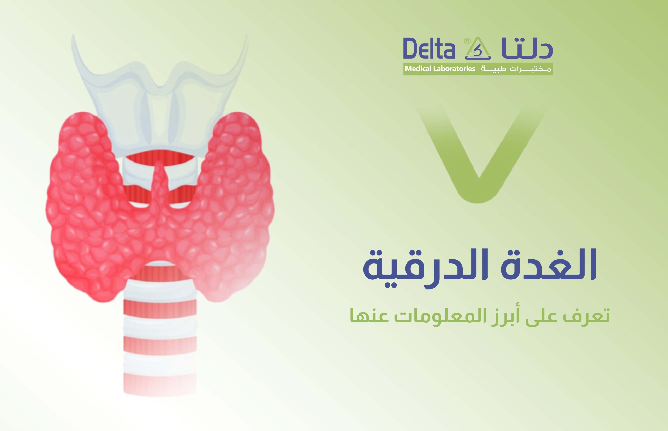 الغدة الدرقية