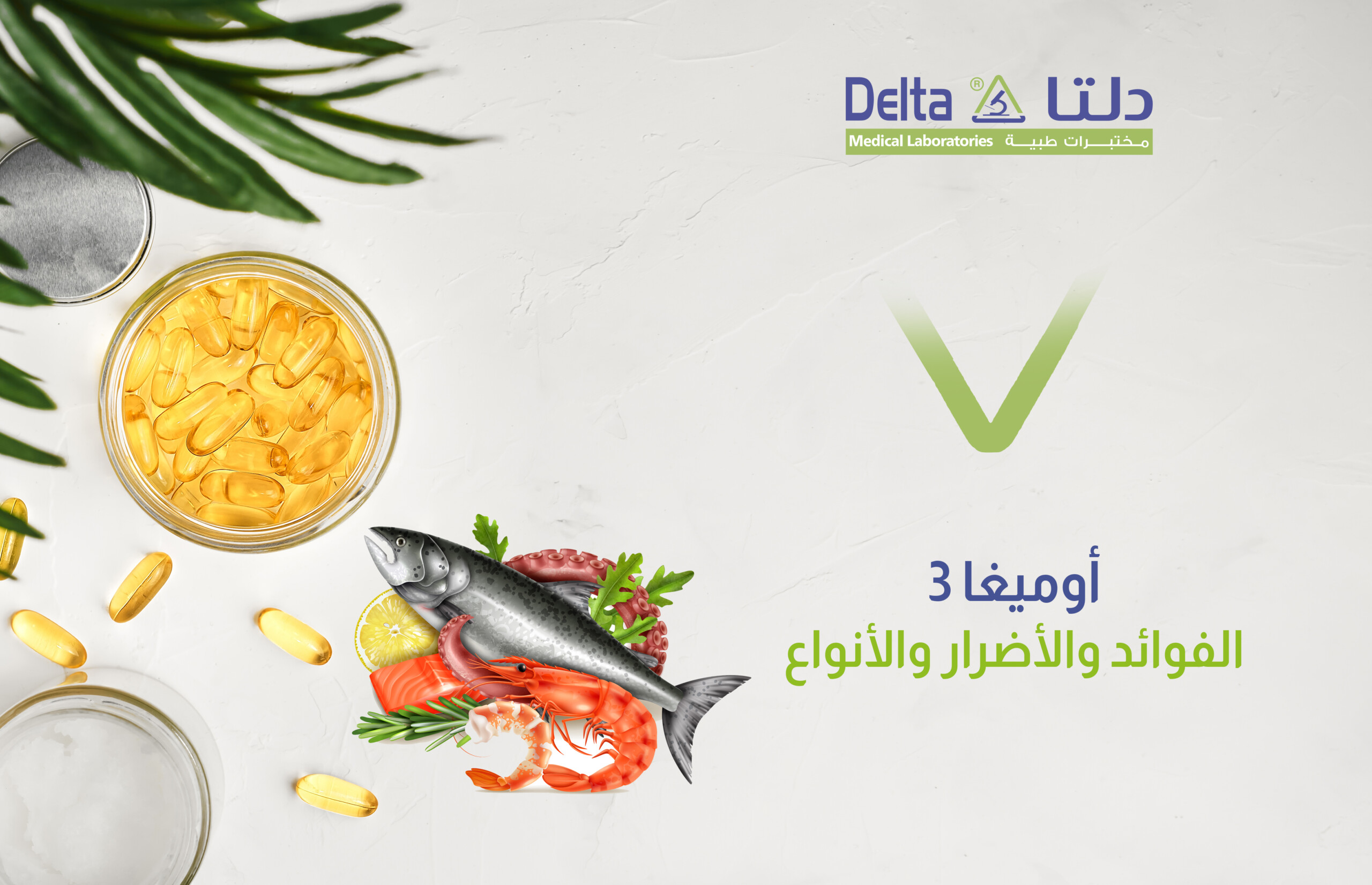 فوائد أوميغا 3 وأضرارها ومصادرها وأنواعها وقيمها الطبيعية