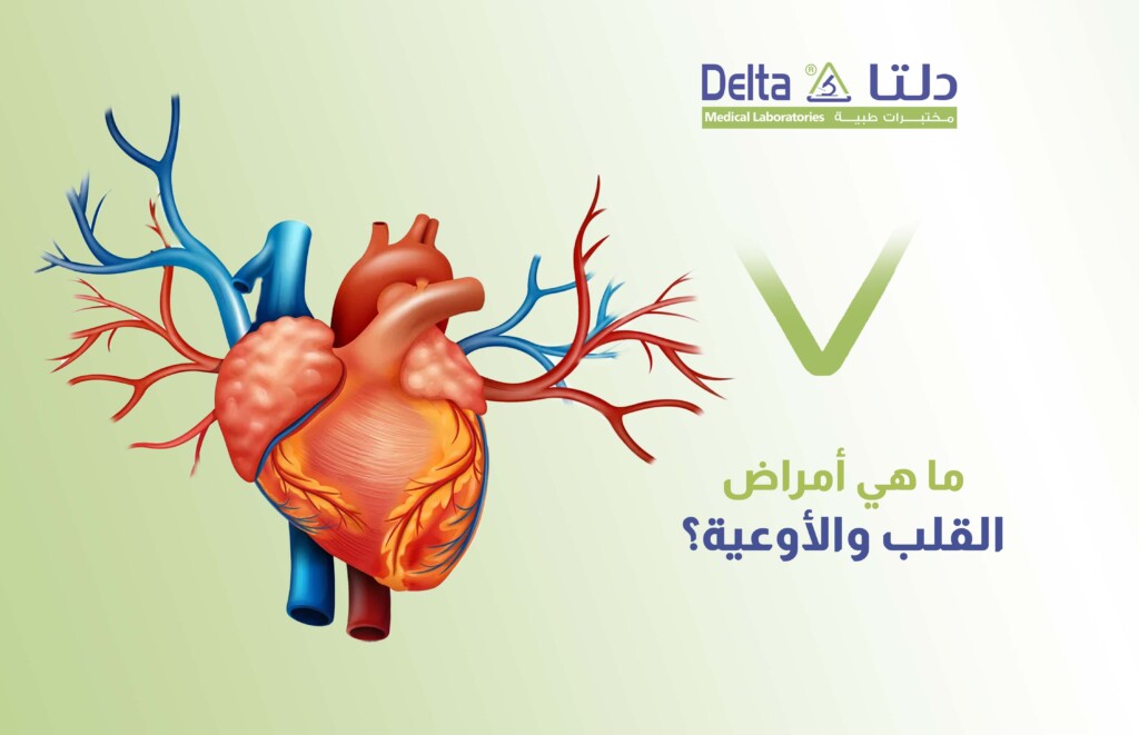 ما هي أمراض القلب