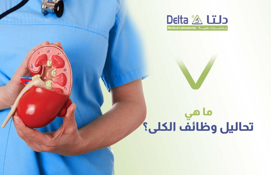ما هي تحاليل وظائف الكلى