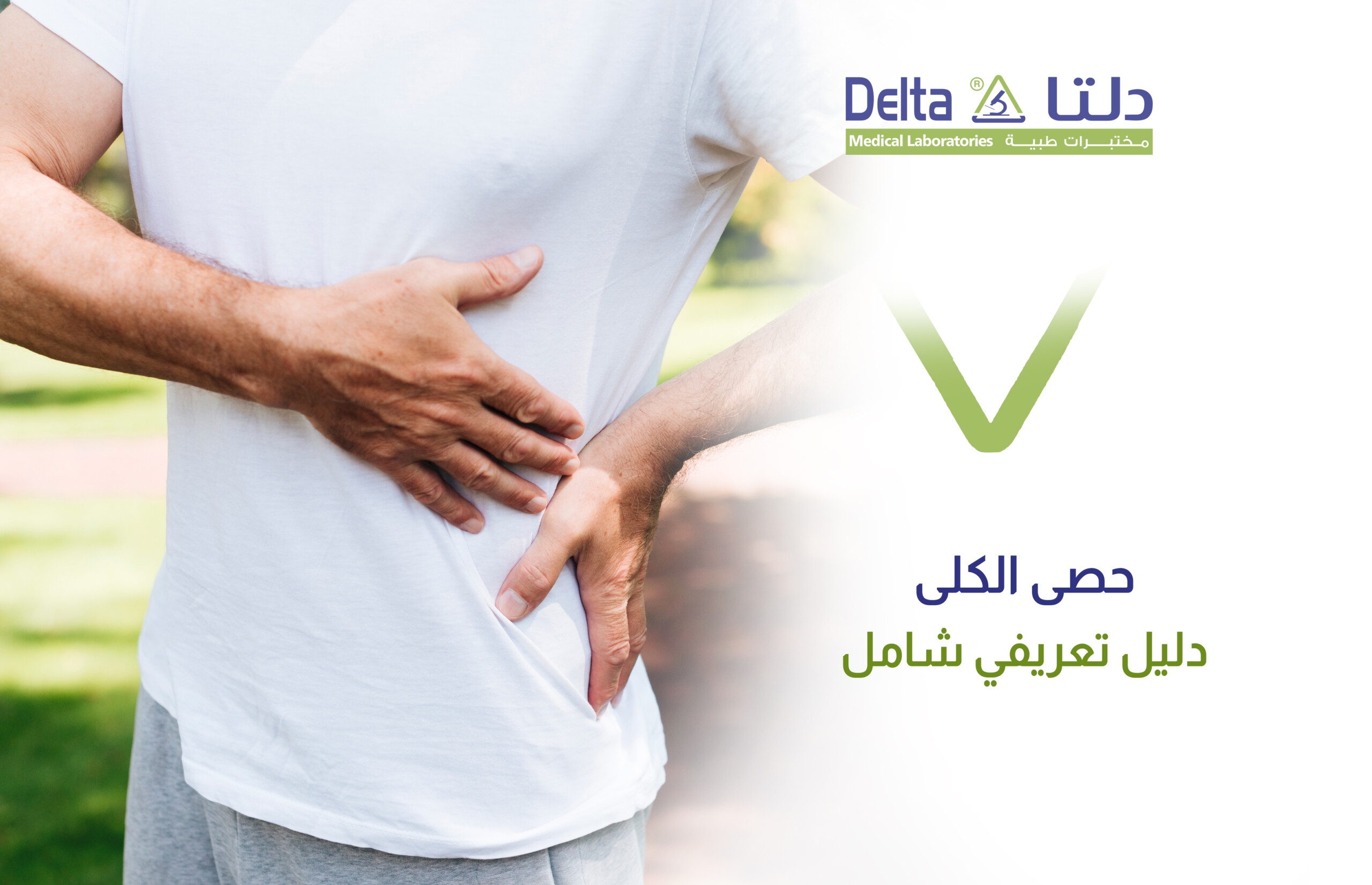 ما هي حصى الكلى وكيف تتشكل وما هي أعراضها وأسبابها وطرق تشخيصها وعلاجها