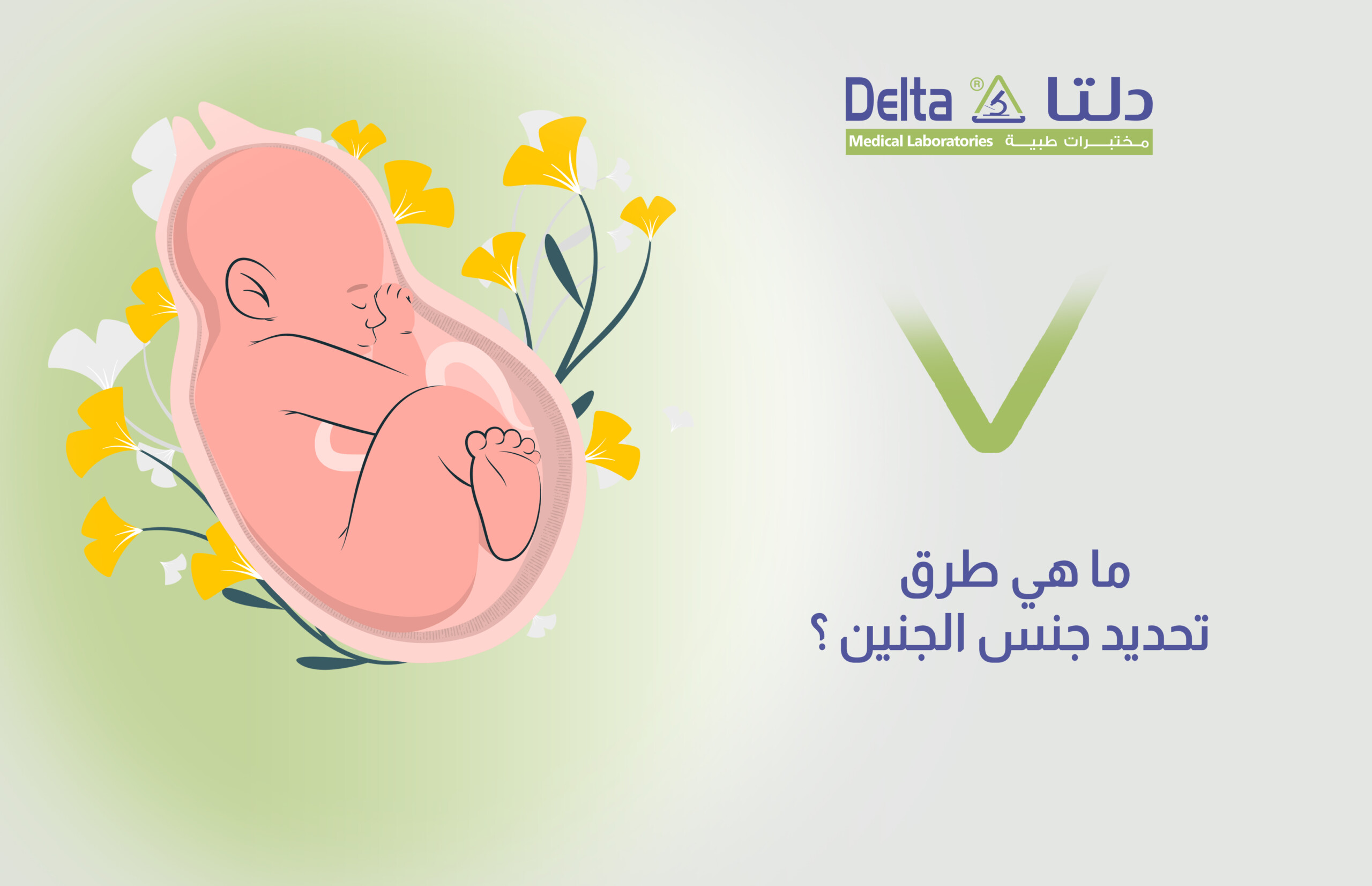 ما هي طرق تحديد جنس الجنين ؟