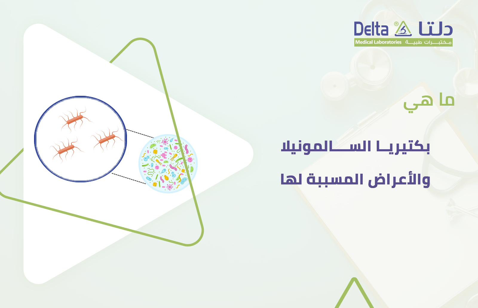 ما هي بكتيريا السالمونيلا وما هي أعراض السالمونيلا وطرق تشخيصها وأسبابها وعلاجها