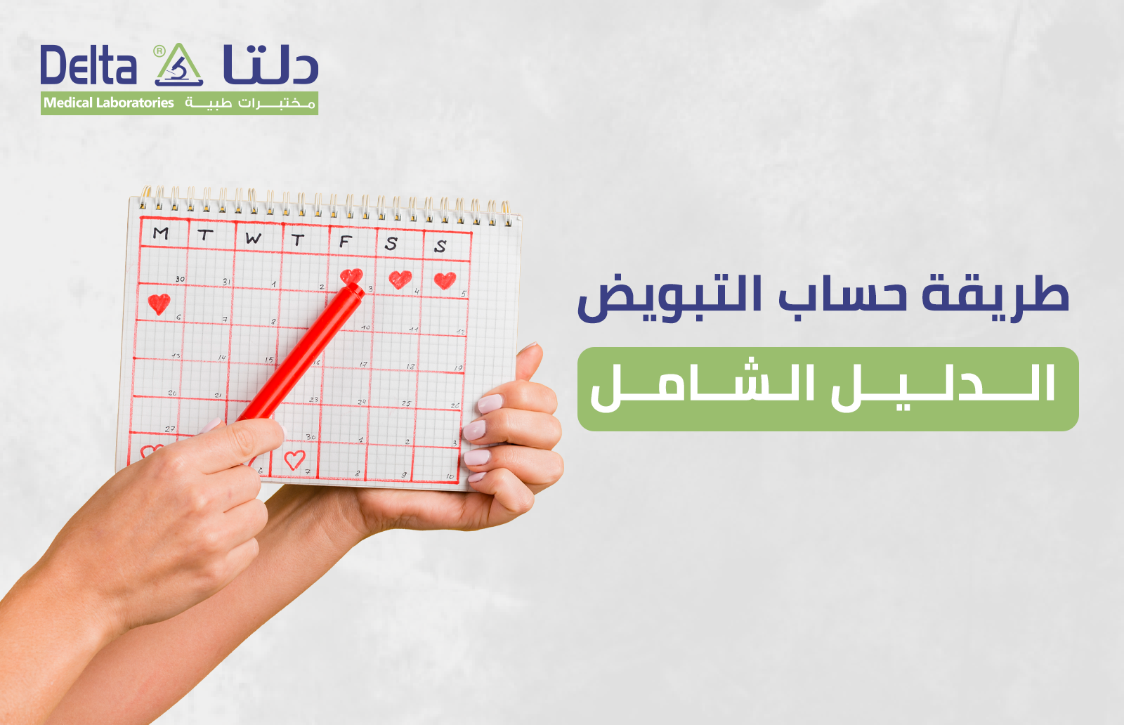 طريقة حساب التبويض الدليل الشامل