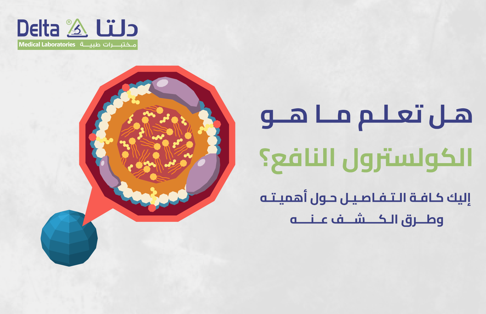 هل تعلم ماهو الكولسترول النافع إليك كافة التفاصيل حول أهميته