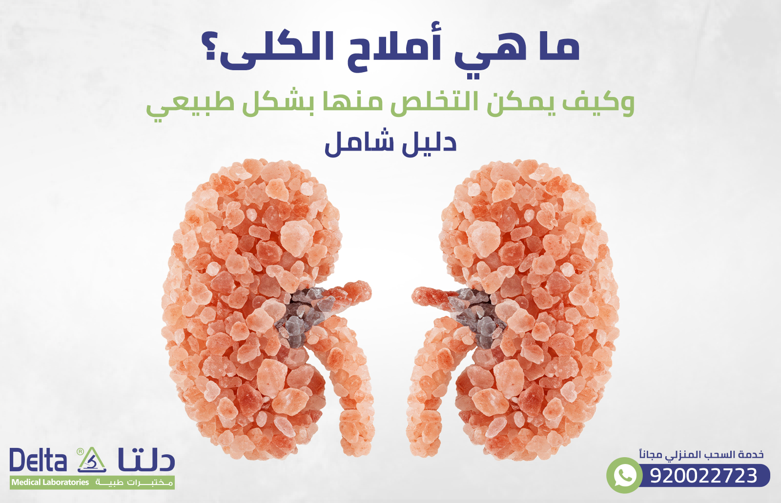 ما هي أملاح الكلى؟ وكيف يمكن التخلص منها بشكل طبيعي| دليل شامل