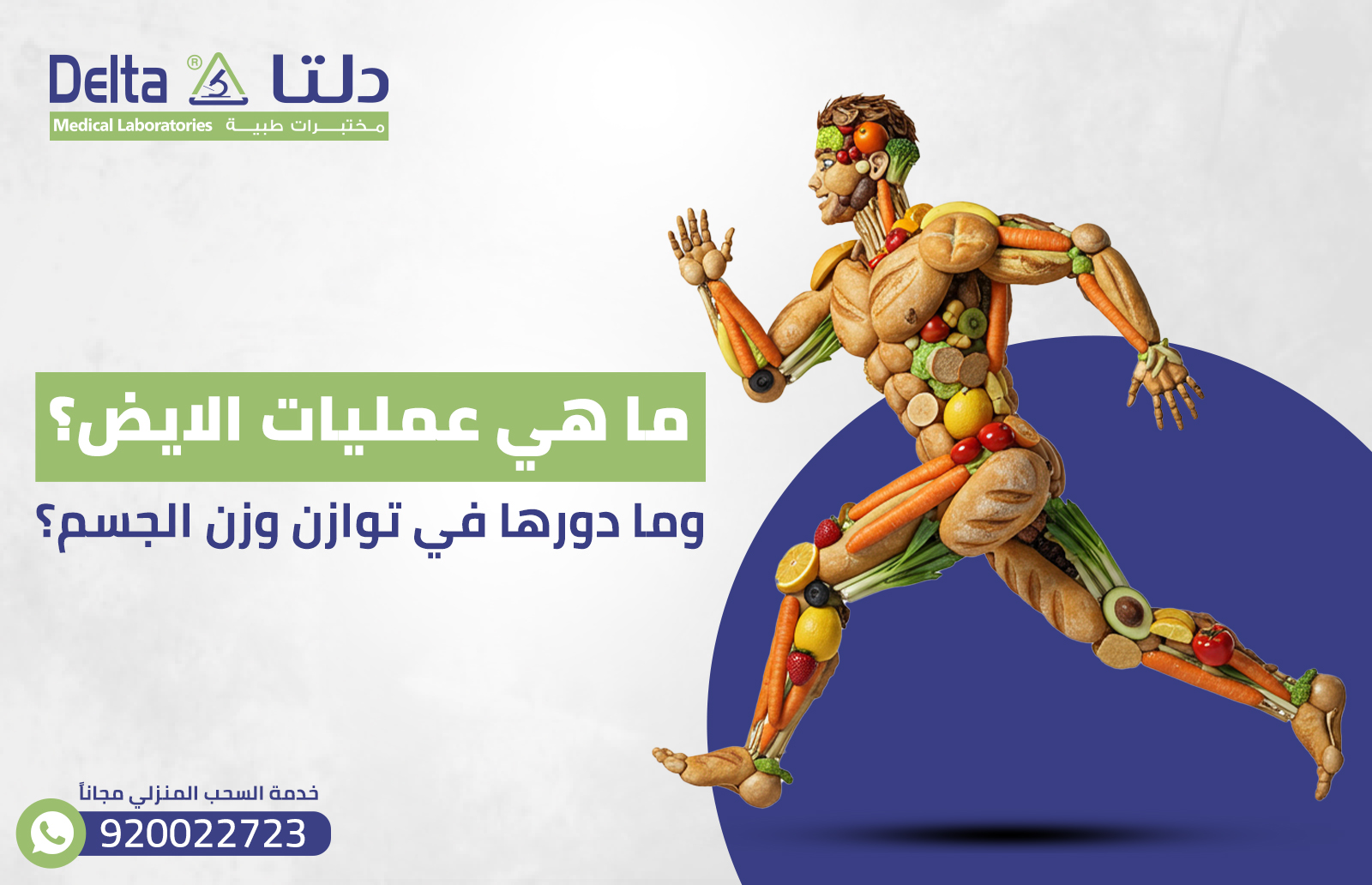 ما هي الفيتامينات التي تسرع عملية الأيض؟