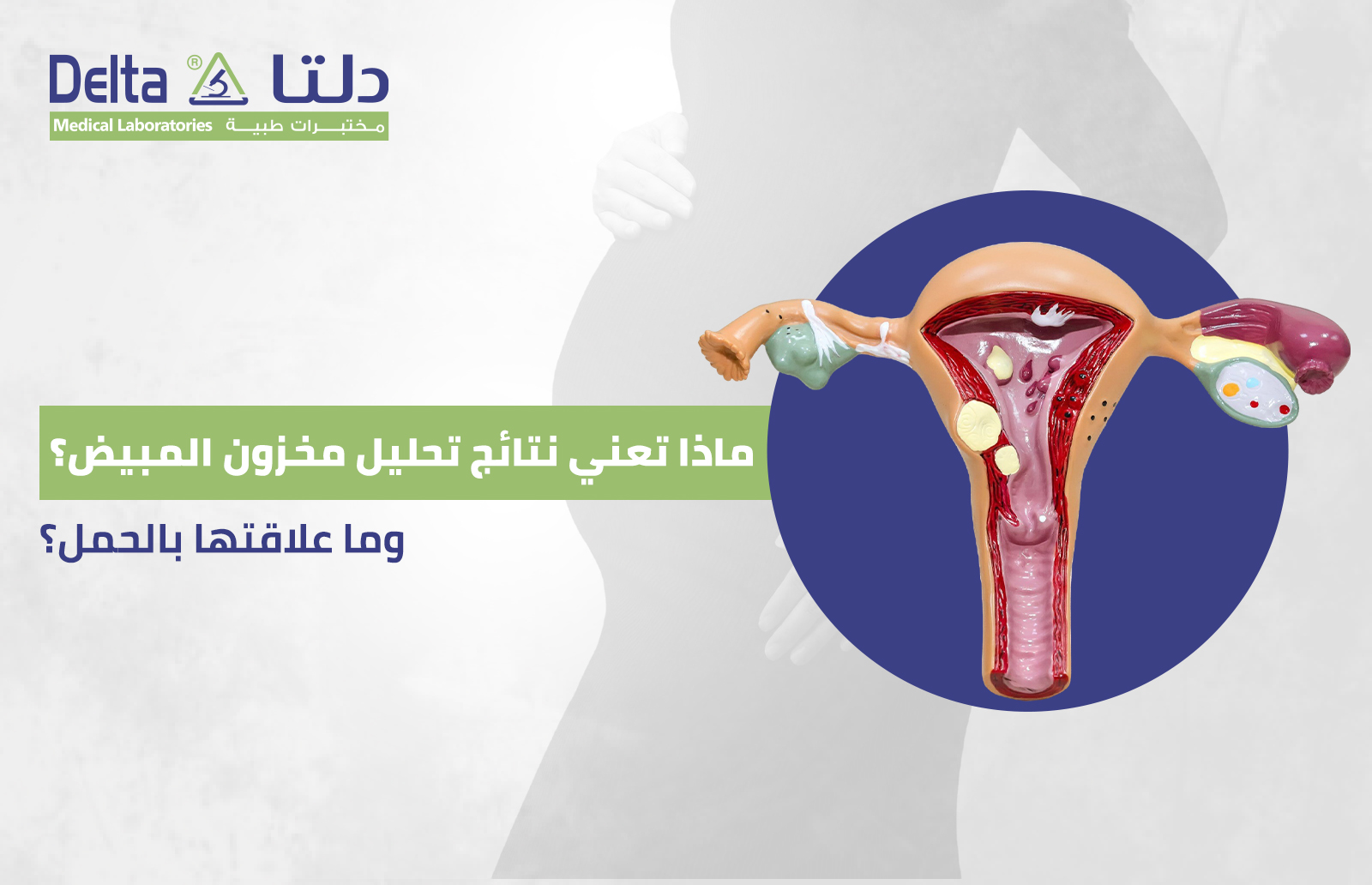 ماذا تعني نتائج تحليل مخزون المبيض؟ وما علاقتها بالحمل؟