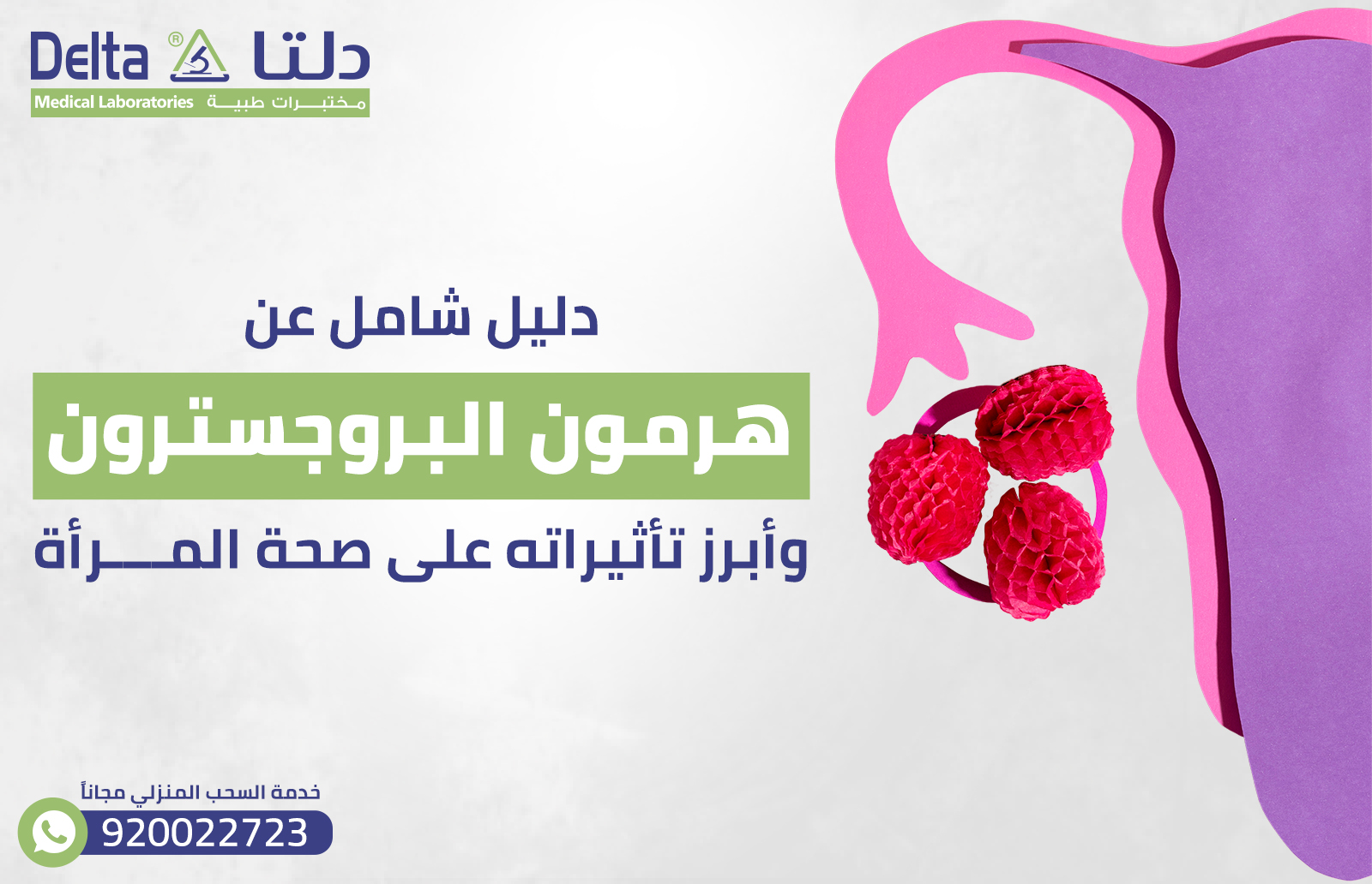 دليل شامل عن هرمون البروجسترون وأبرز تأثيراته على صحة المرأة