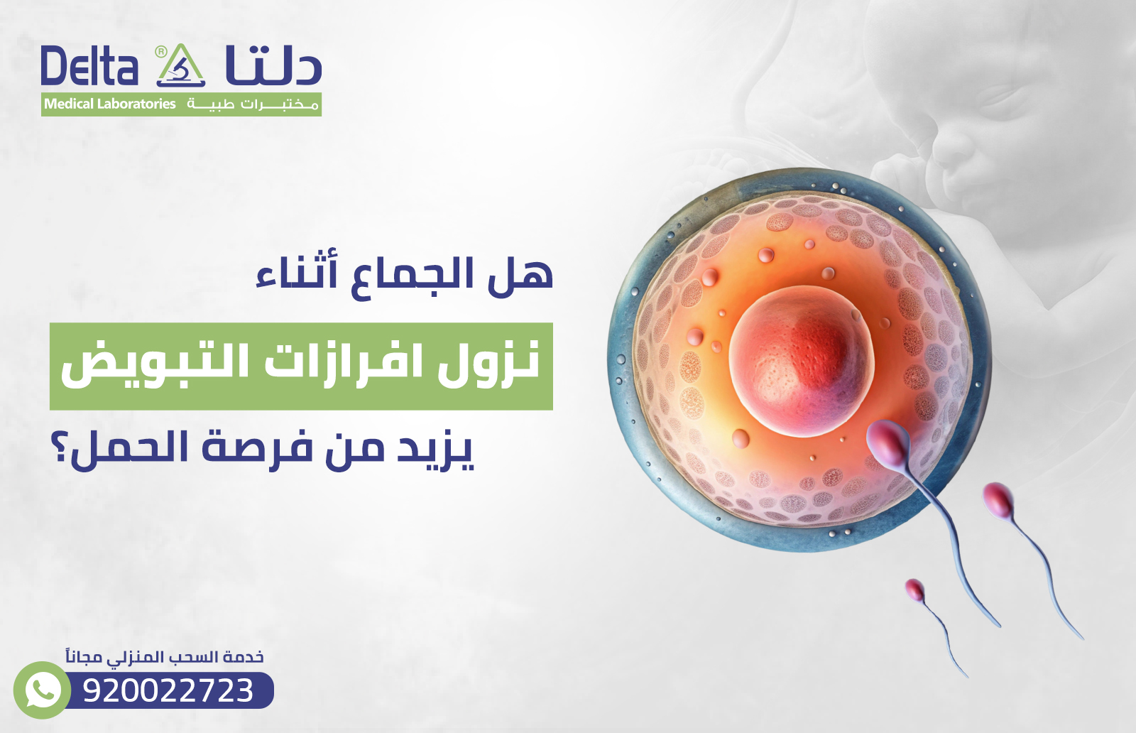 هل الجماع أثناء نزول افرازات التبويض يزيد من فرصة الحمل؟