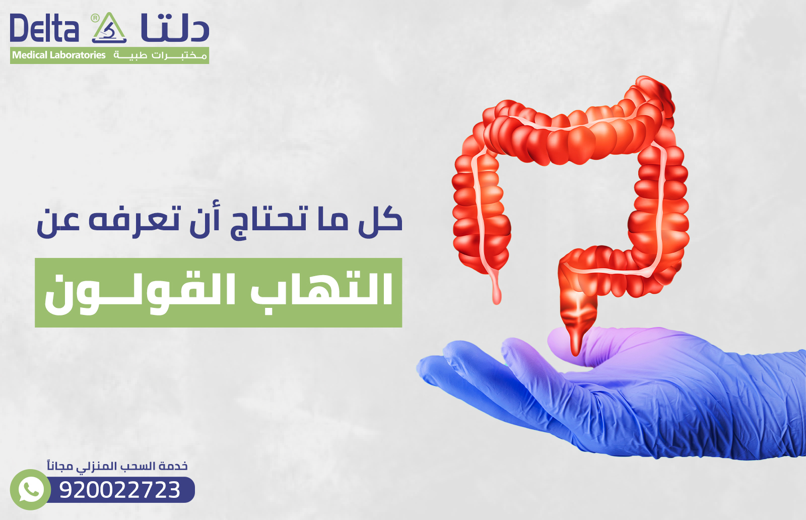 كل ما تحتاج أن تعرفه عن التهاب القولون