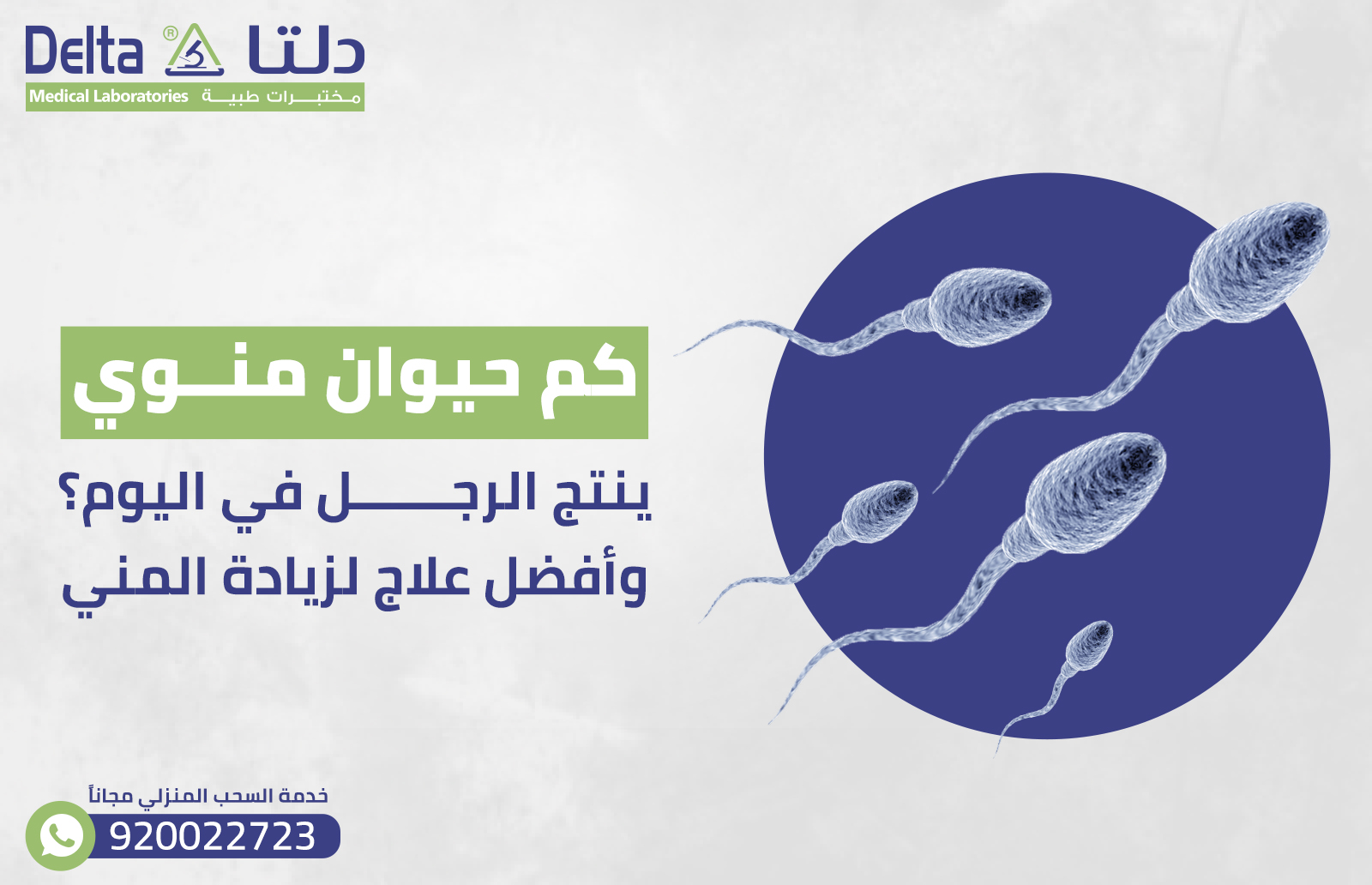 كم حيوان منوي ينتج الرجل في اليوم؟ وأفضل علاج لزيادة المني