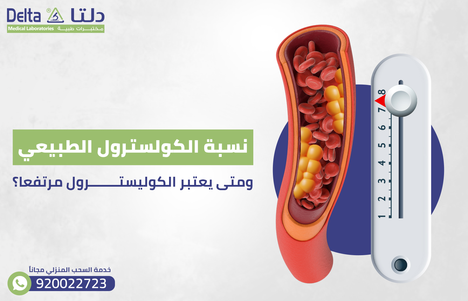 نسبة الكولسترول الطبيعي: ومتى يعتبر الكوليسترول مرتفعًا؟