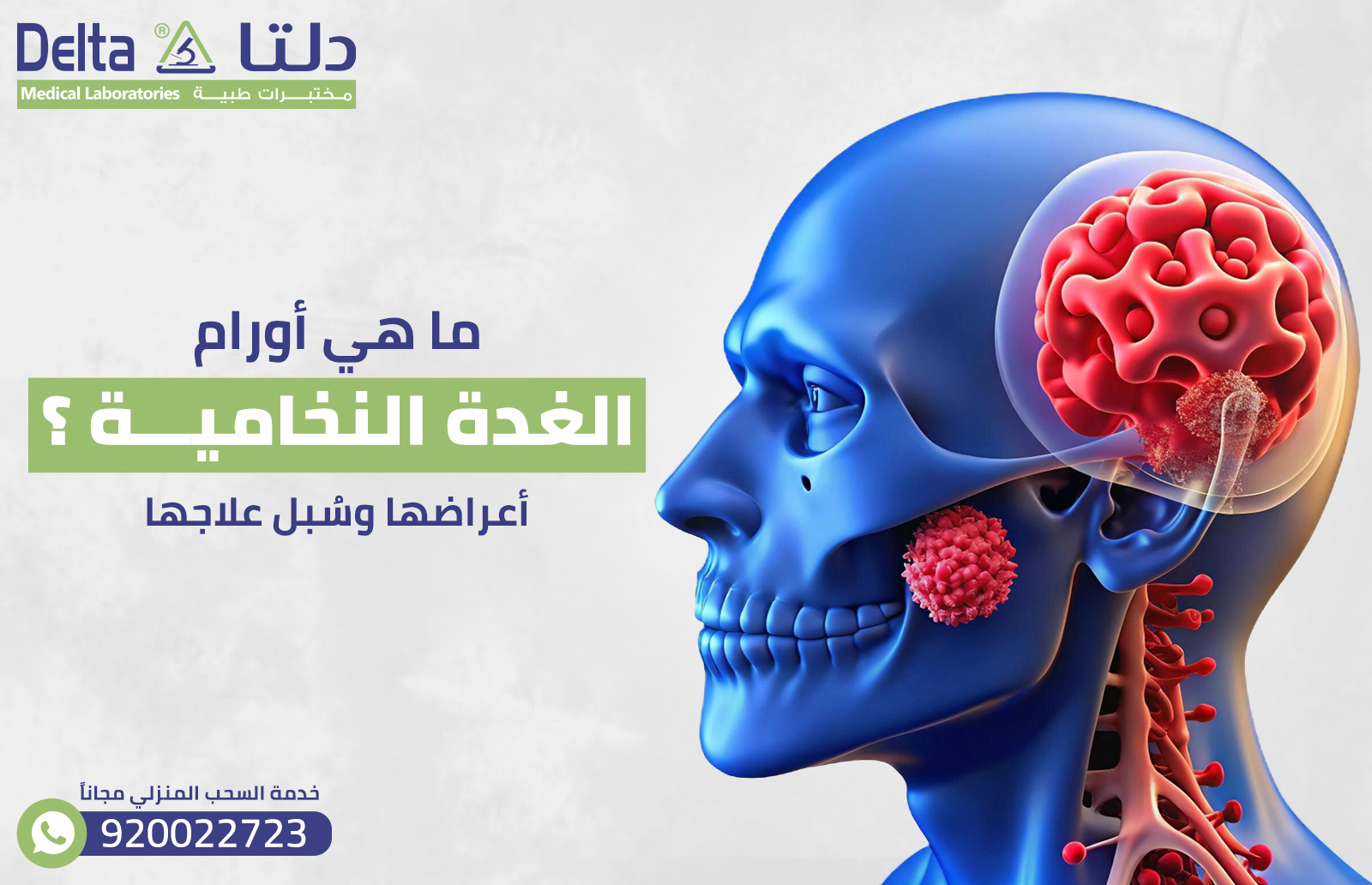 ما هي أورام الغدة النخامية؟ أعراضها وسُبل علاجها 