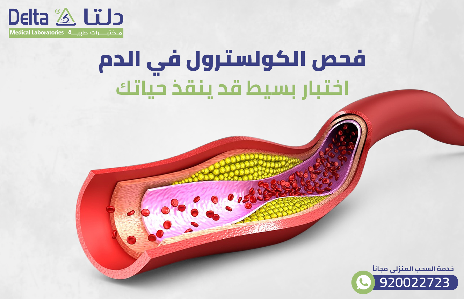 فحص الكولسترول في الدم: اختبار بسيط قد ينقذ حياتك