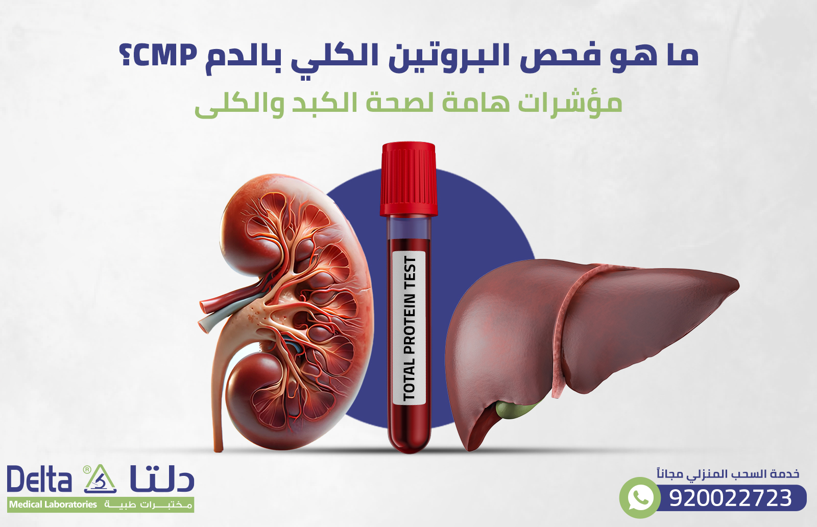 ما هو فحص البروتين الكلي بالدم؟مؤشرات هامة لصحة الكبد والكلى