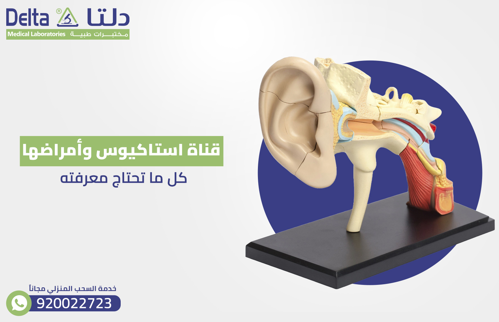 كل ما تحتاج معرفته عن قناة استاكيوس وأسباب انسدادها