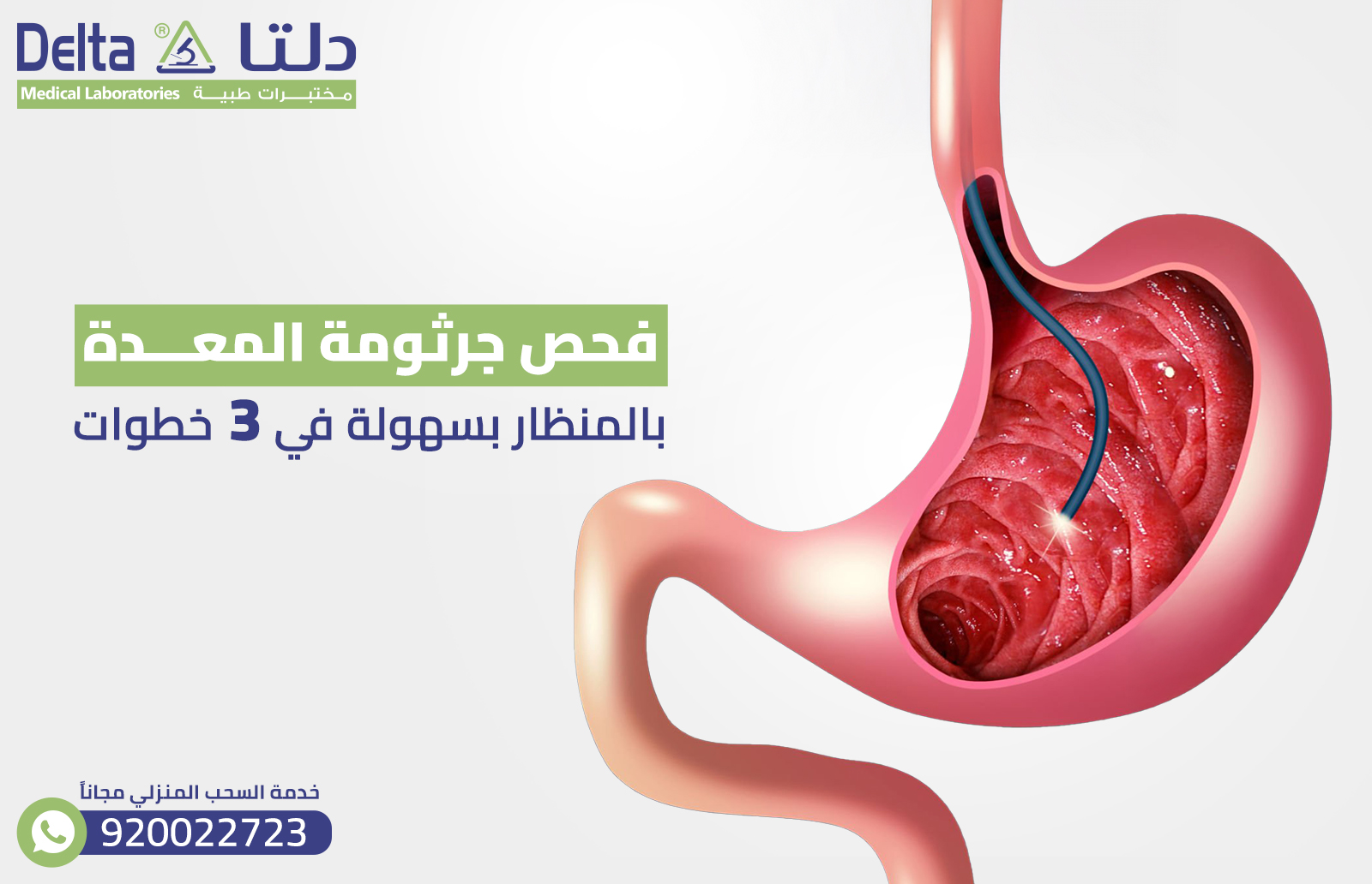 فحص جرثومة المعده بالمنظار بسهولة في 3 خطوات