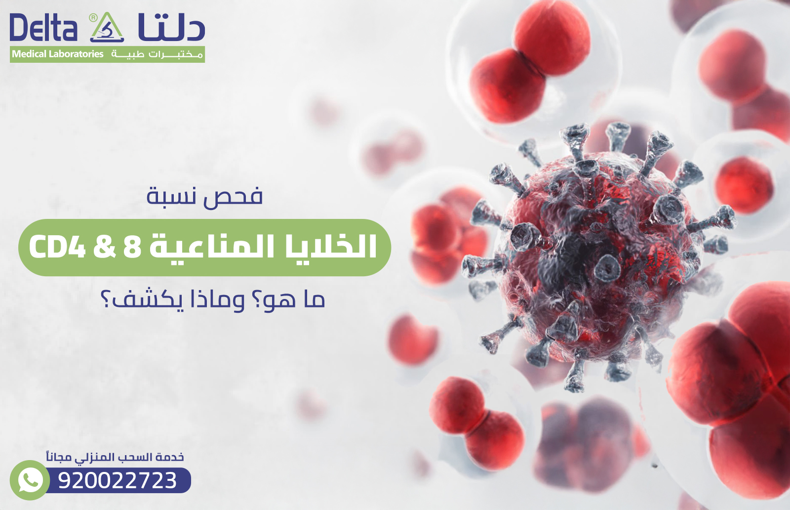 فحص نسبة الخلايا المناعية CD4 & 8: ما هو؟ وماذا يكشف؟   