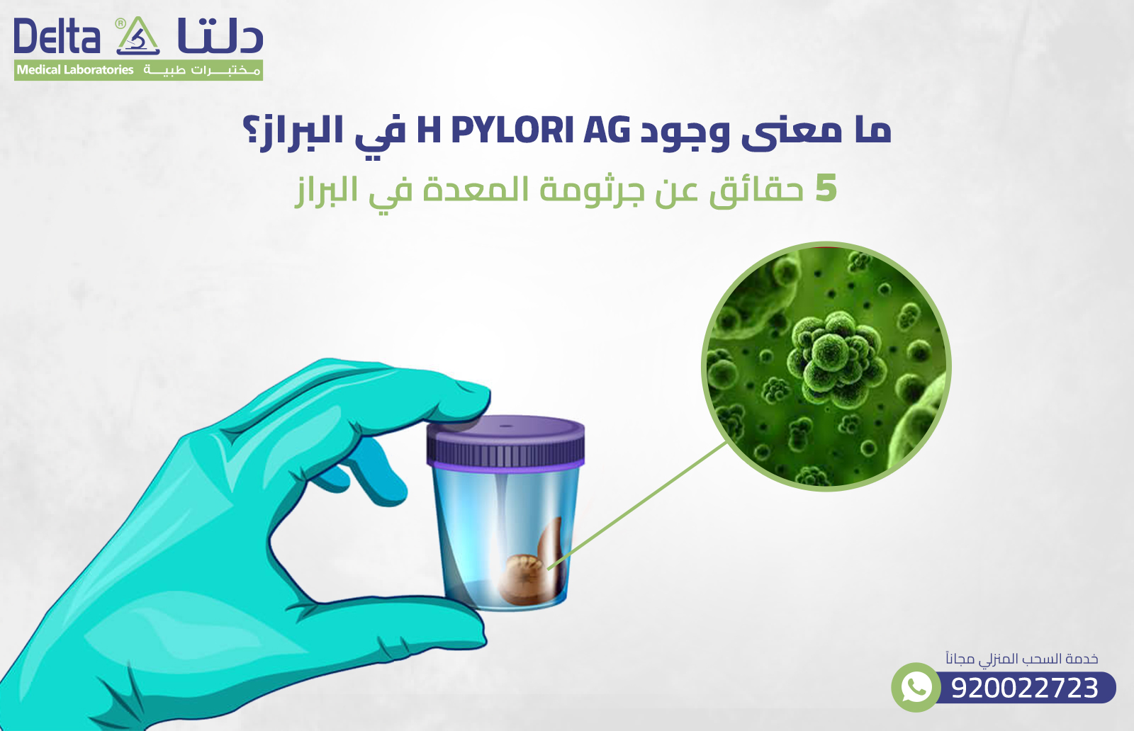 ما معنى وجود H pylori AG في البراز؟ 5 حقائق عن جرثومة المعدة في البراز