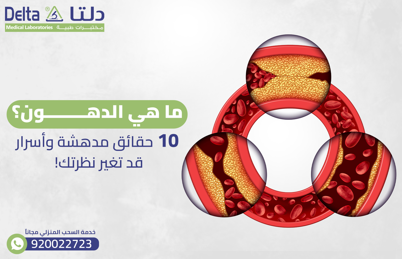 ما هي الدهون؟ 10 حقائق مدهشة وأسرار قد تغير نظرتك!