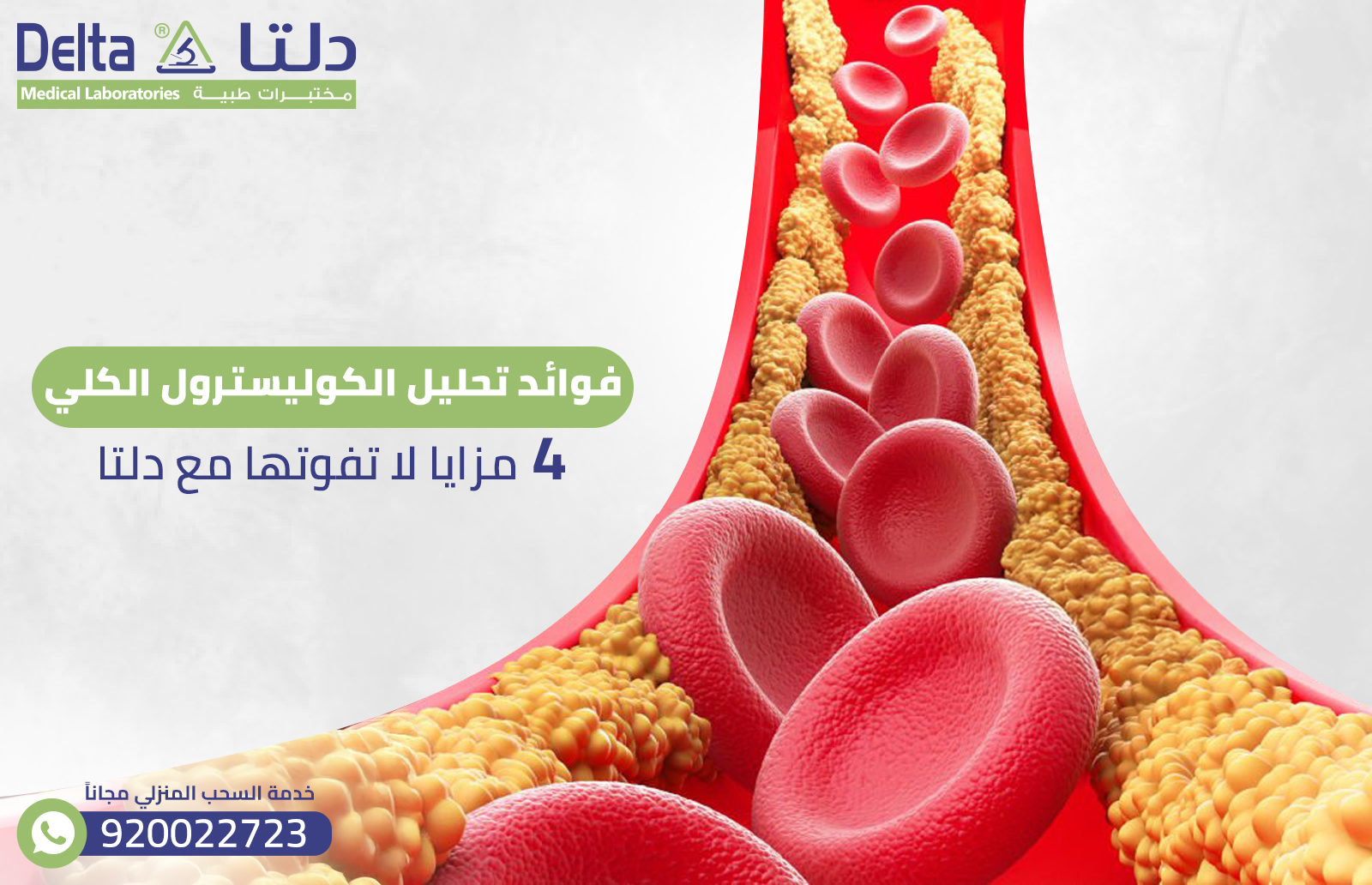 فوائد تحليل الكوليسترول الكلي: 4 مزايا لا تفوتها مع دلتا