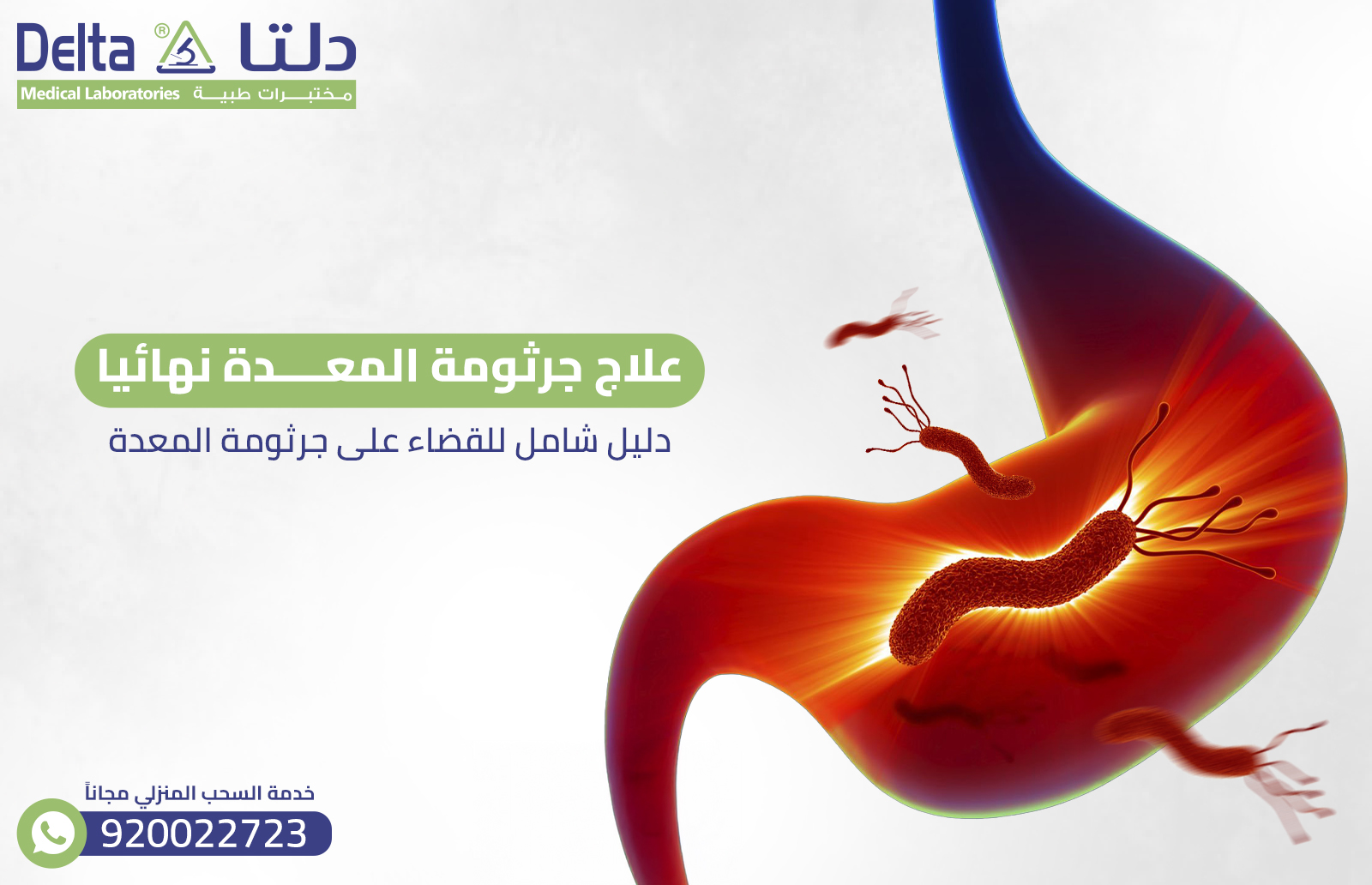 علاج جرثومة المعدة نهائيا للقضاء على جرثومة المعدة