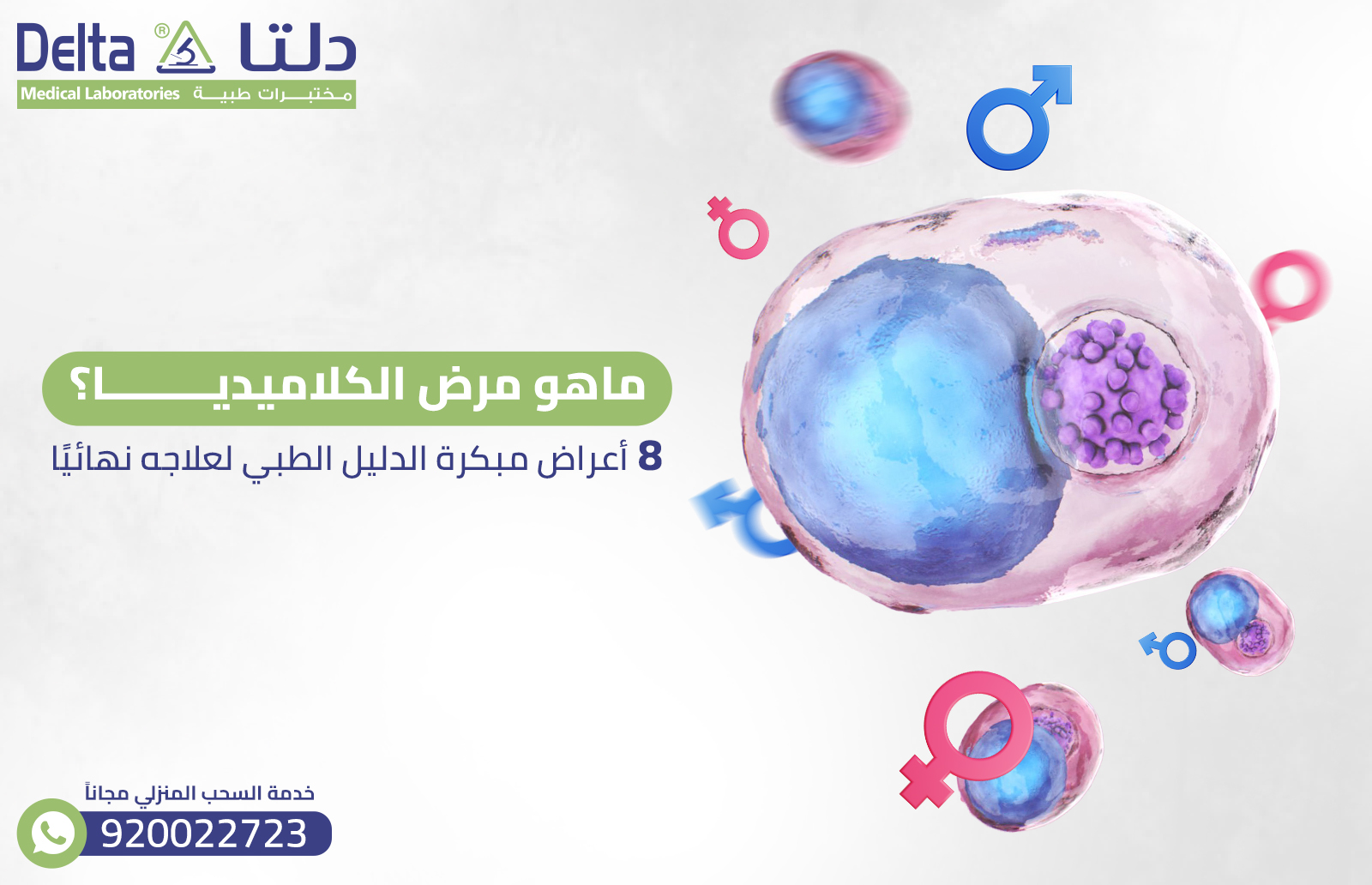  ماهو مرض الكلاميديا؟ 8 أعراض مبكرة الدليل الطبي لعلاجه