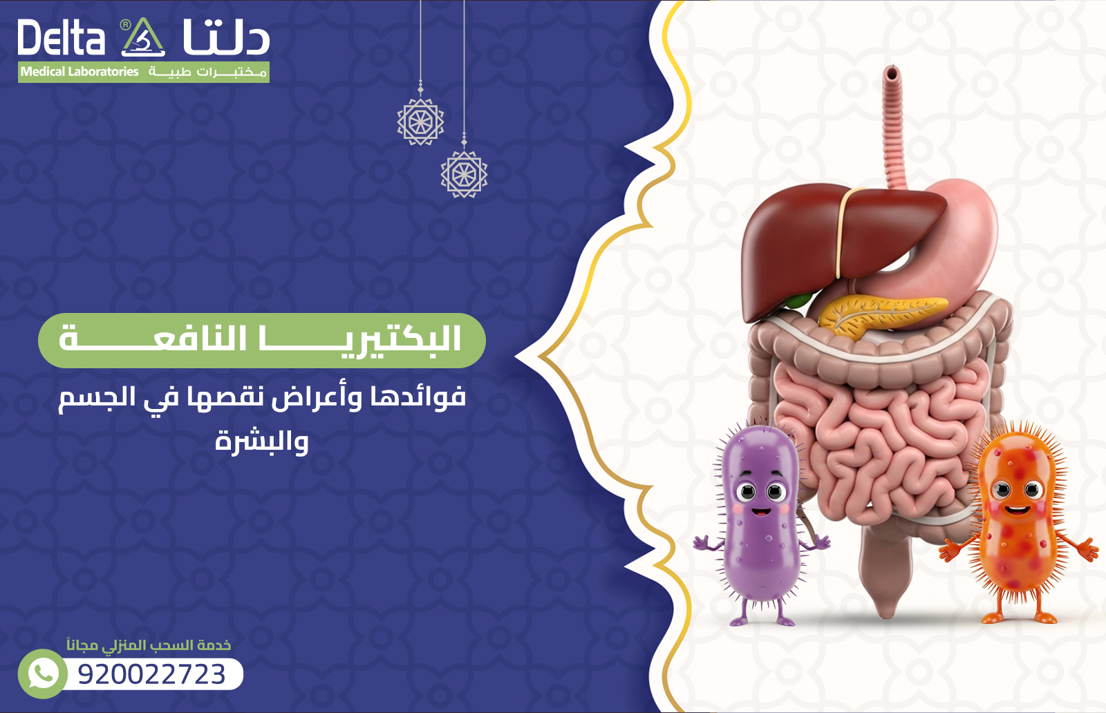 البكتيريا النافعة