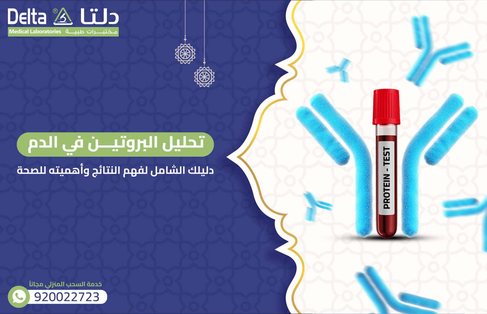 تحليل البروتين في الدم
