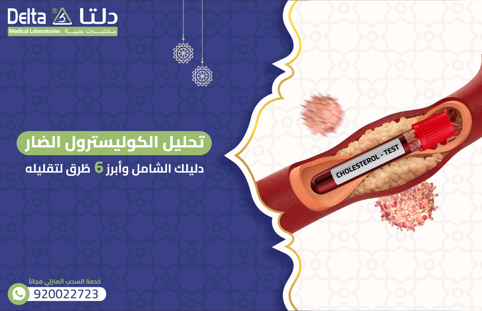 تحليل الكوليسترول الضار: دليلك الشامل وأبرز 6 طُرق لتقليله