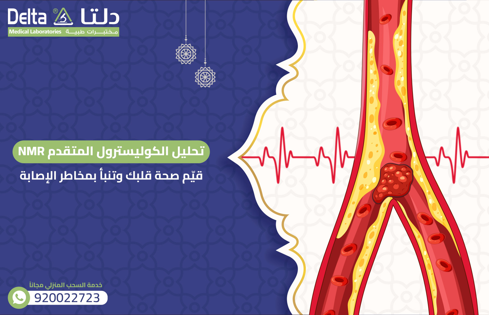 تحليل الكوليسترول المتقدم NMR