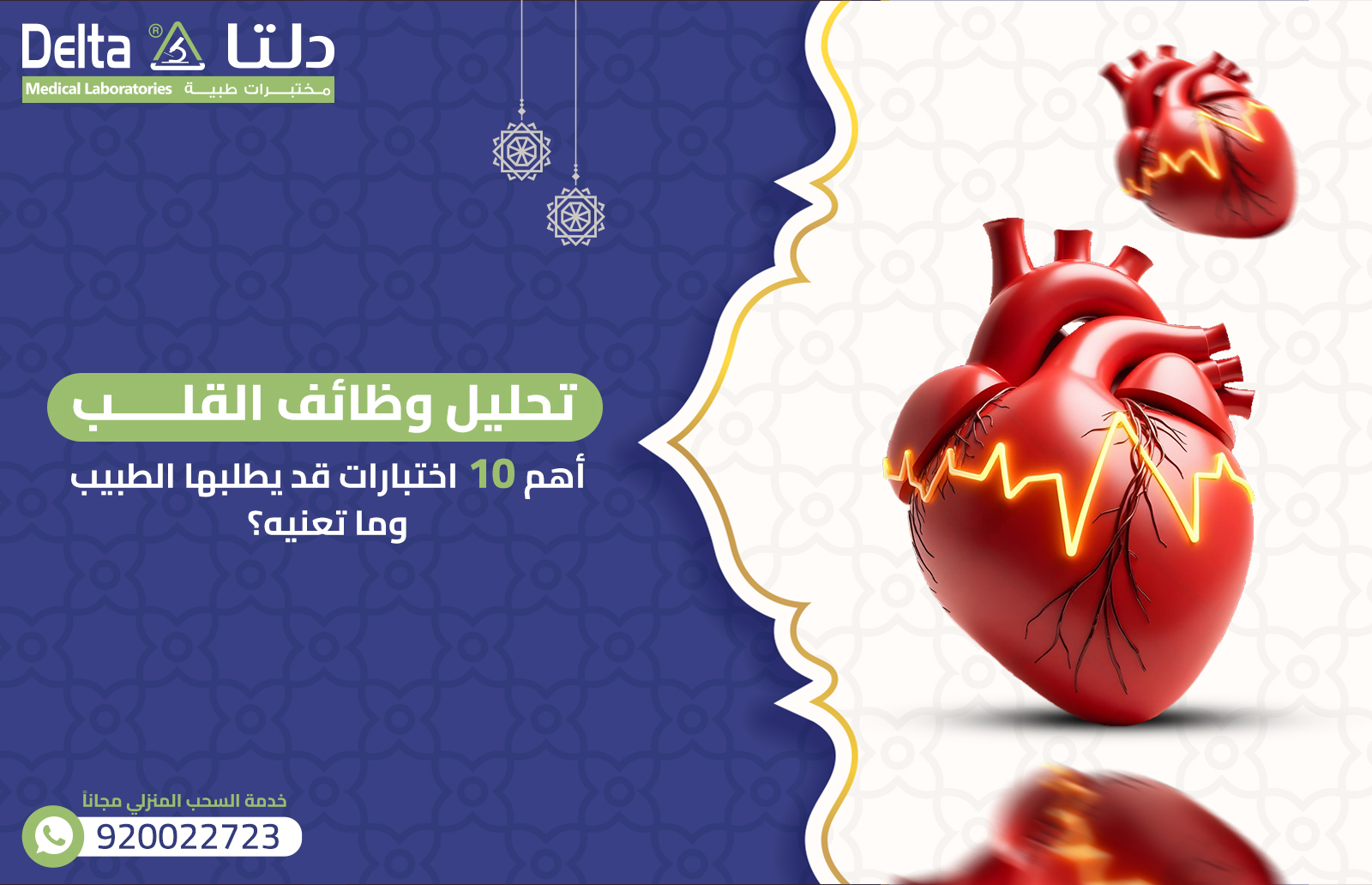 تحليل وظائف القلب