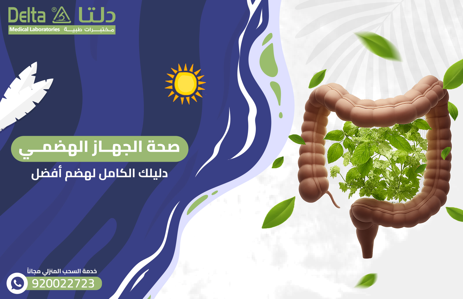 صحة الجهاز الهضمي