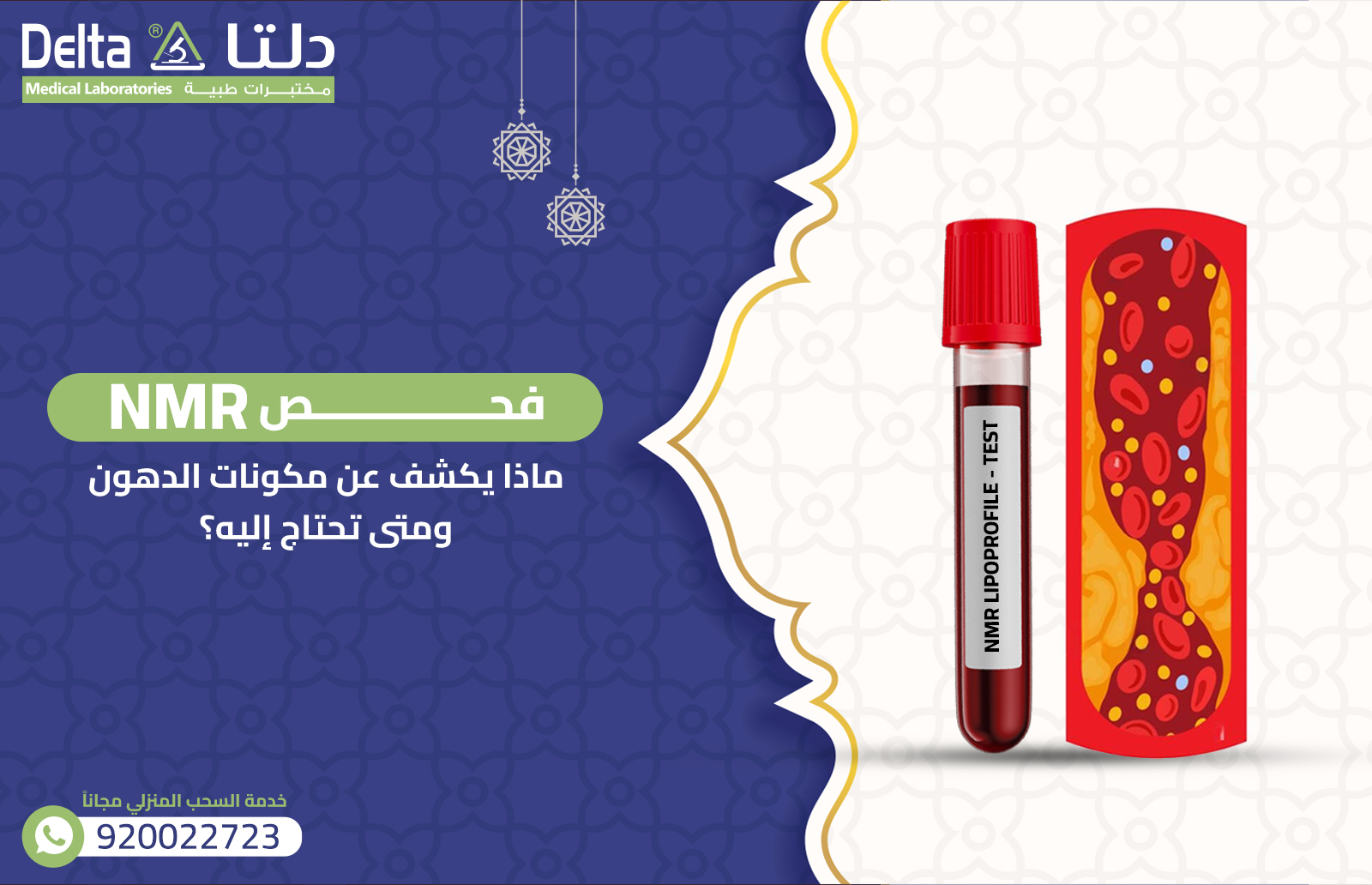  فحص NMR: ماذا يكشف عن مكونات الدهون ومتى تحتاج إليه؟