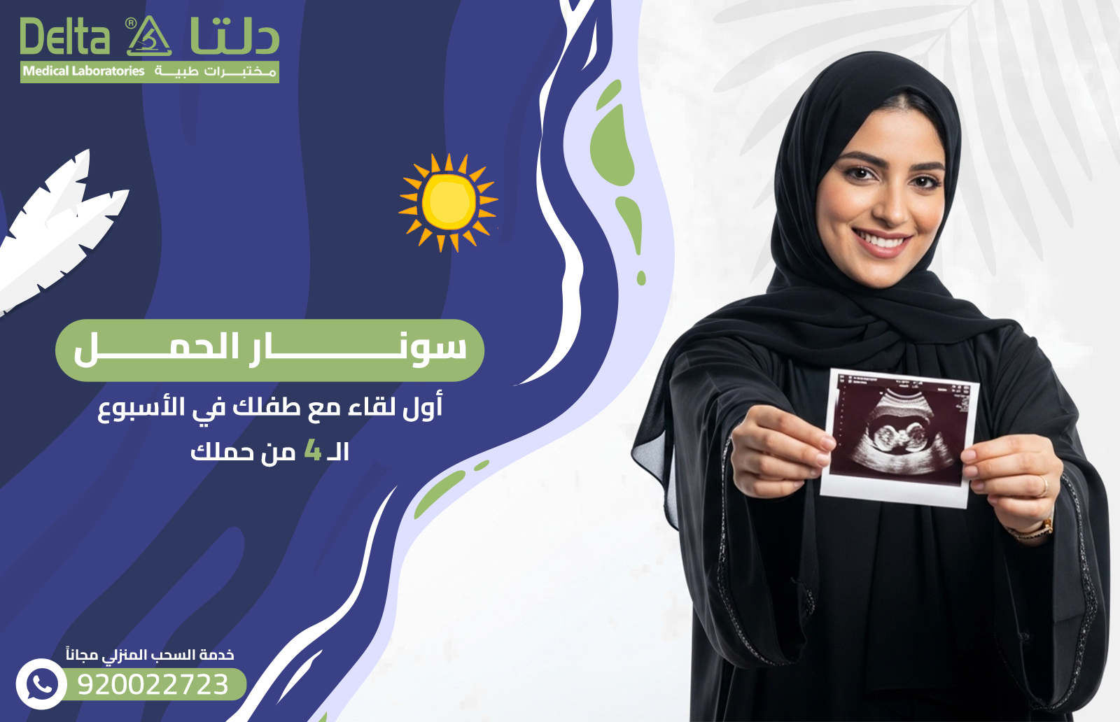 سونار الحمل