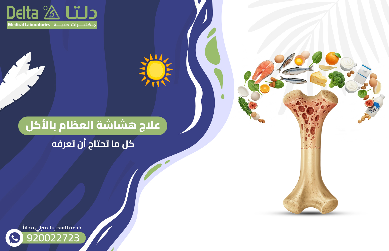 علاج هشاشة العظام بالأكل: كل ما تحتاج أن تعرفه