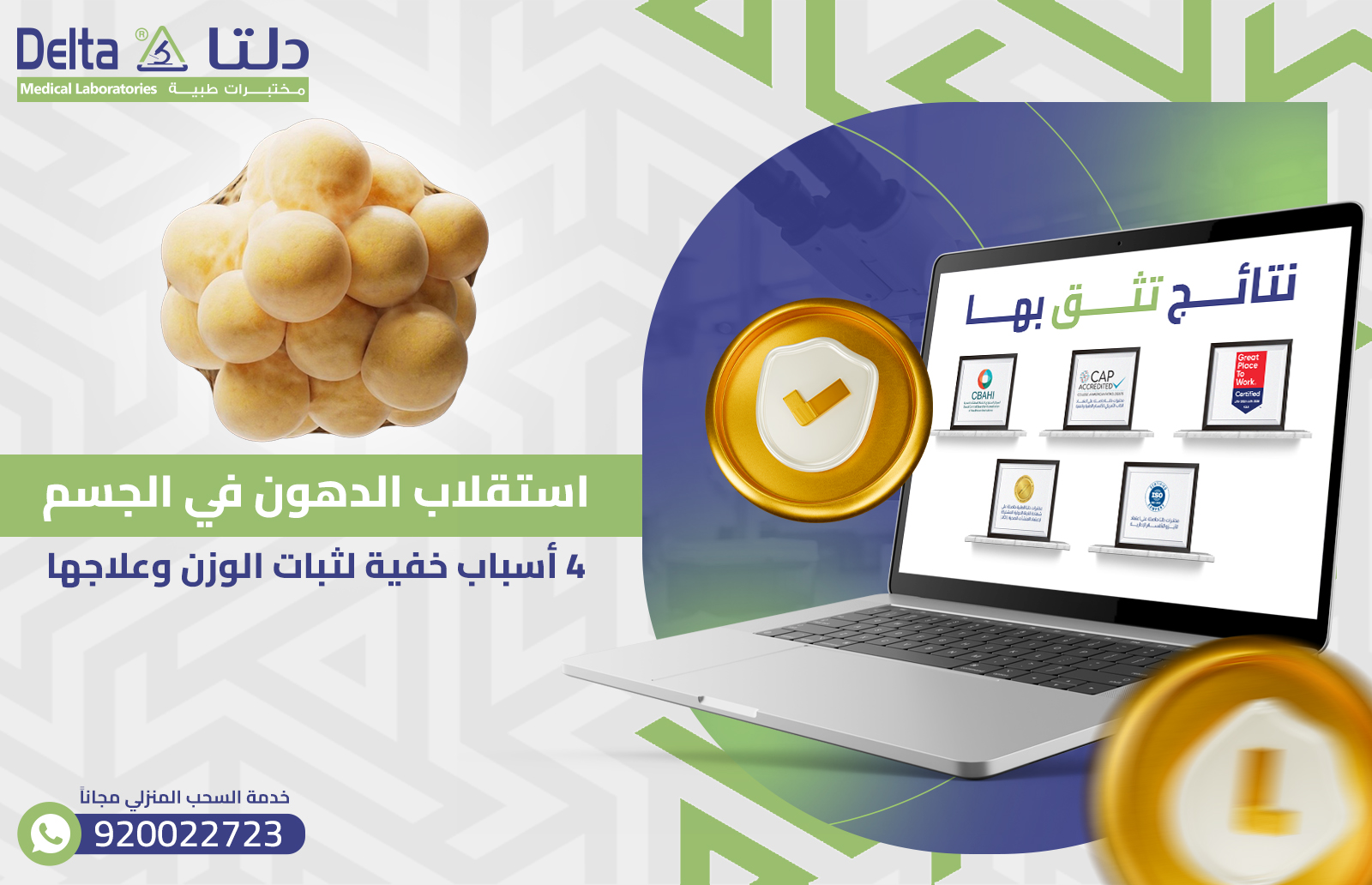 الدهون في الجسم