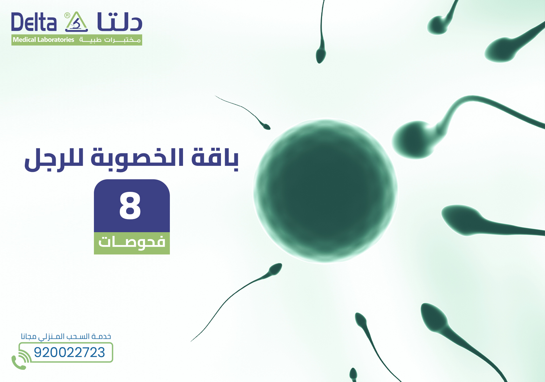 باقة الخصوبة للرجل