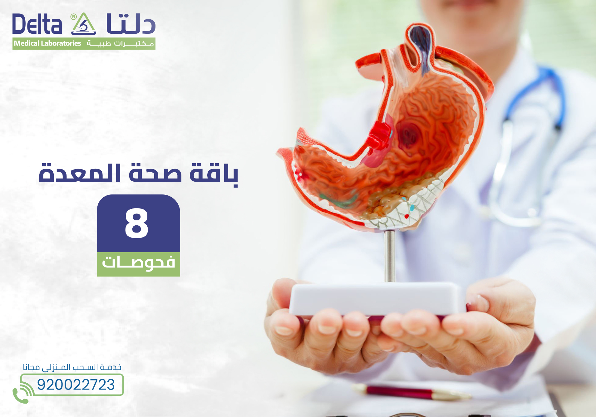 باقة صحة المعدة