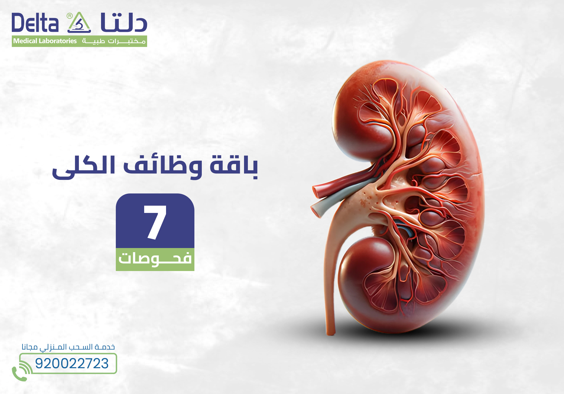 باقة وظائف الكلى