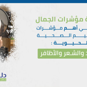 باقة الجمال بلس